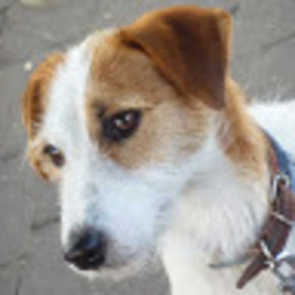 Meet your Posher, Júlia - Picture 1 of 1